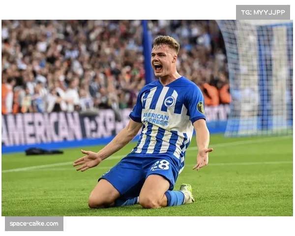 布莱顿前锋埃文·弗格森伤势恢复良好,有望在三月下旬复出